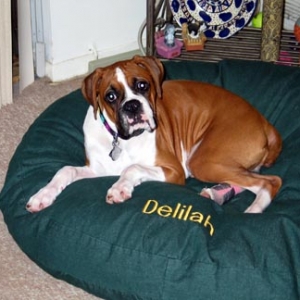 My Name's Delilah