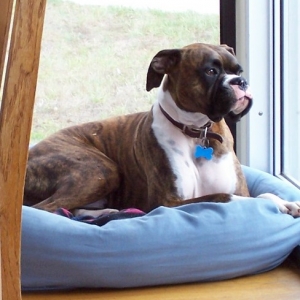 Magoo's favorite spot