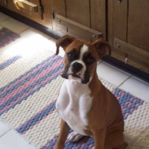 Did you say treat...