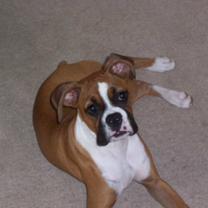 Looking so cute....