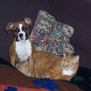 Roxi & Milo