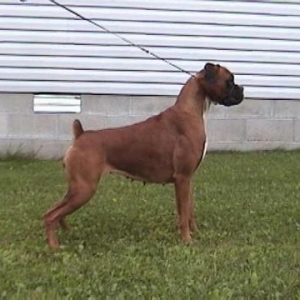 Ruby 20 months