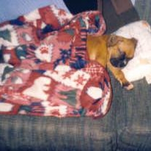 Sleeping baby Sidda