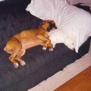 sis makes a good pillow