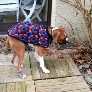 Delilah's Pretty Coat