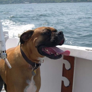 On the boat