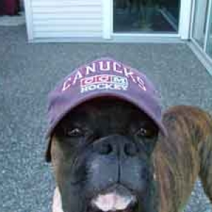 GO CANUCKS GO!