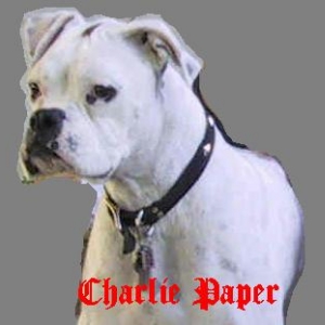 Charlie my love