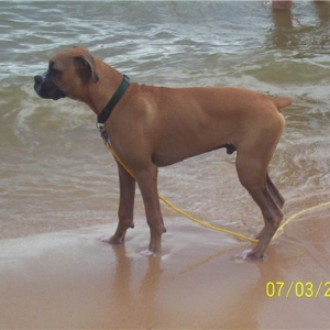 I love the water!