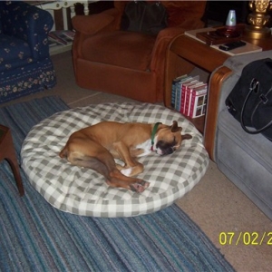 all tuckered out