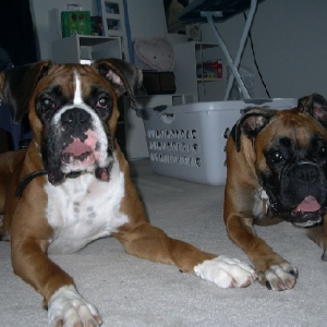 Hailey's New Brother Sam