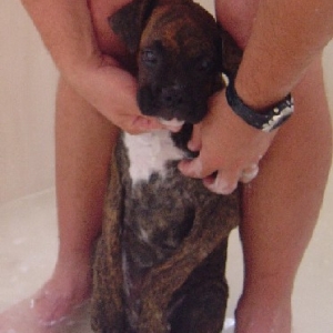 Tigger's first bath