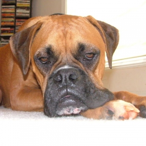 You're interrupting my beauty sleep