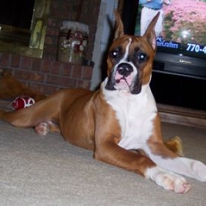 Abigail @ 6 months old.. she's a big girl now