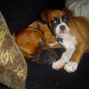 Hubble and Bella