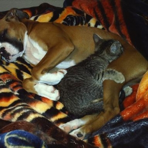 Tasha sleeping with our cat Dookie.