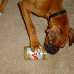 My favorite treat