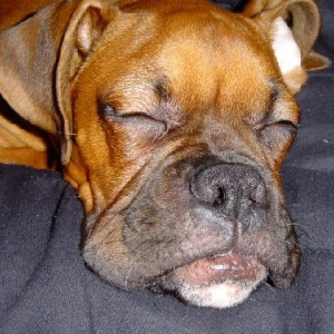 ZZZZZZ