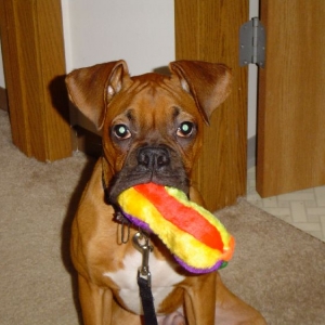 My favorite toy