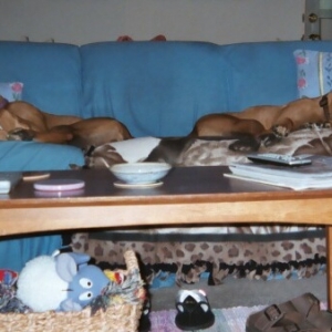 No room for mom