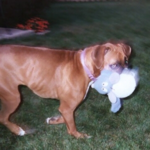 Cali and the Mouse