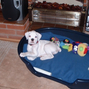 big_bed