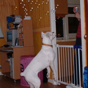 bubbles_3