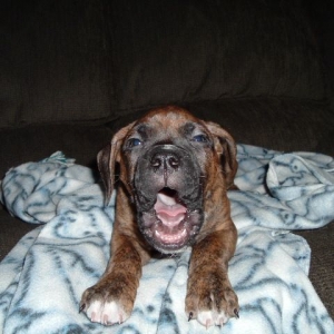 Stop taking my picture