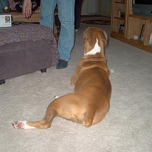 Im not looking at you...