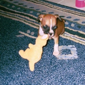connor_kangaroo_7_weeks
