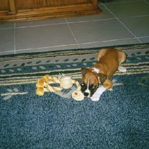 connor_10wksa