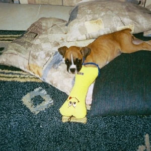 connor_9_weeks