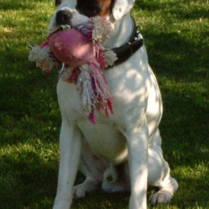 Please play with me