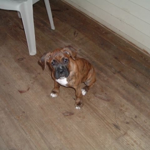 reno_porch