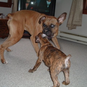 Play time