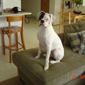 Tunney sitting pretty