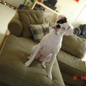 "Ma, the camera's a little cockeyed?"