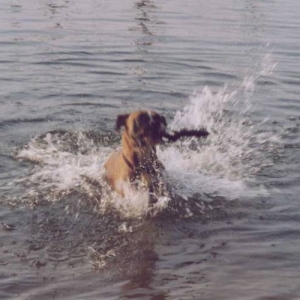"swimming gracefully" kind of