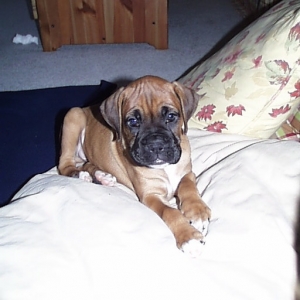 I'm so cute
