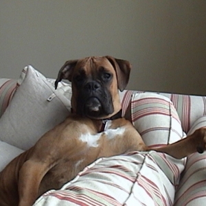 Where's my lounge coat and pipe?