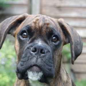 Can you come and Play with me?