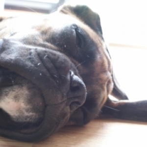 All this Playing has made me tired!