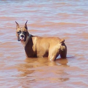I can swim.. I can swim