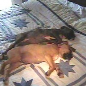 Snooze!!