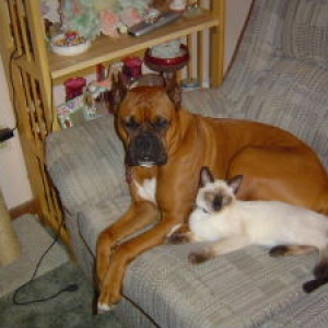 Stormy and her kitty