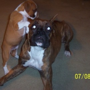 My Two Girls