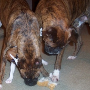 Allie, Annie and Biff
