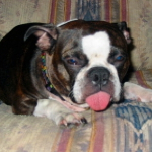Drunk Mia!