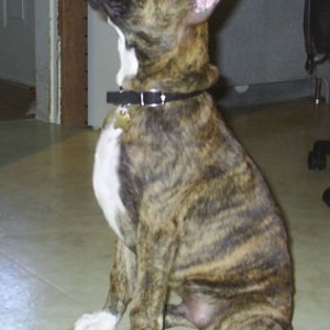 Jag at 14 weeks
