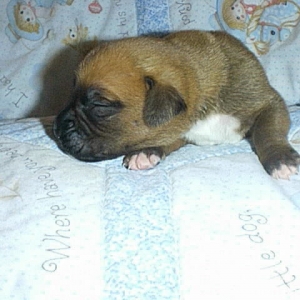 Marley_10_days_3_